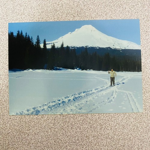 Man cross country - skiing, mount